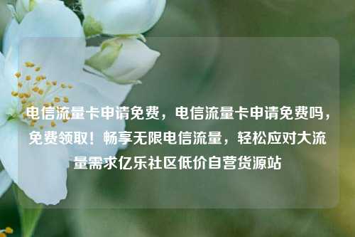 电信流量卡申请免费，电信流量卡申请免费吗	，免费领取！畅享无限电信流量，轻松应对大流量需求亿乐社区低价自营货源站  第1张